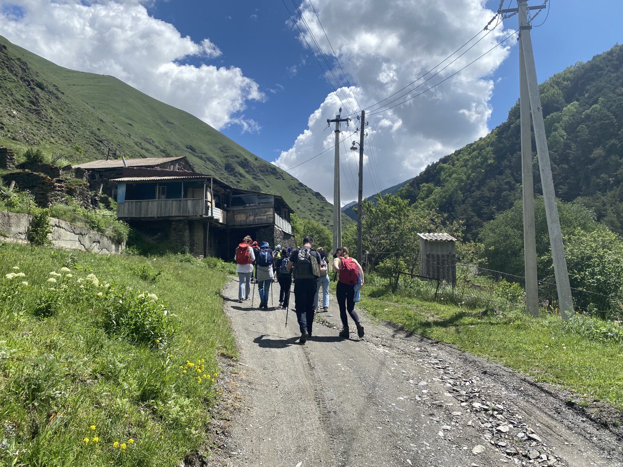 Поездка в ущелье Цмиаком на цветение рододендронов